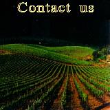 Click here to see Contact us information
